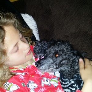 Meet your Posher, Barb